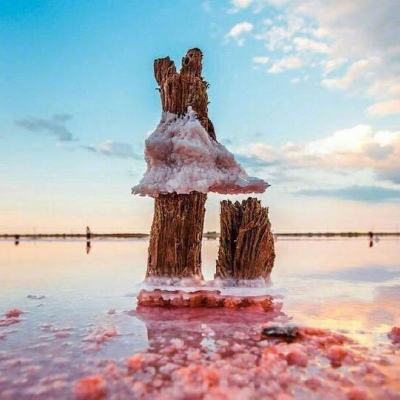 张雪峰医疗文件遭泄露？疑医院特殊治疗知情同意书在网上流传，苏州市卫健委：已关注到此事并在处理
